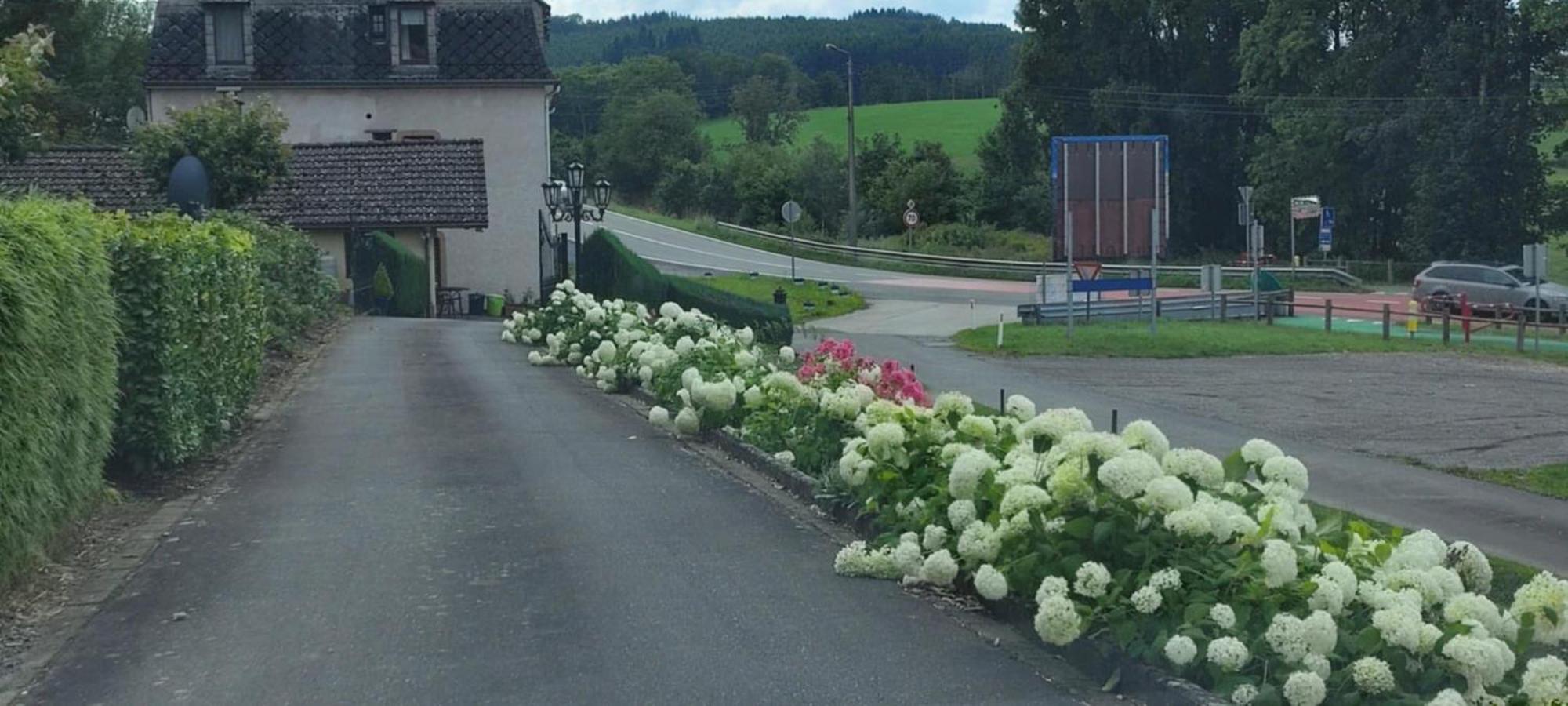 伯格罗伊兰Chalet Rose别墅 外观 照片